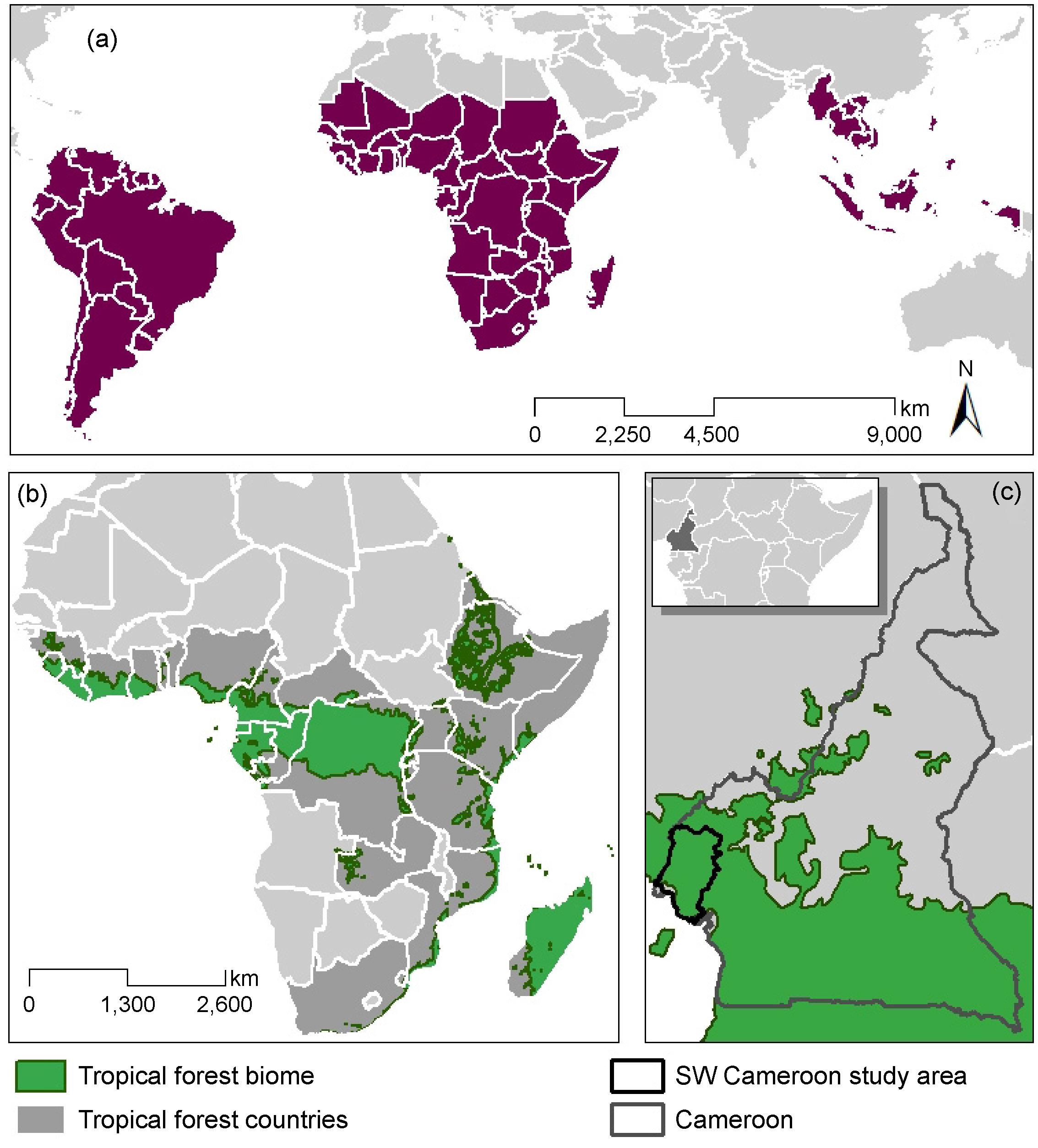 Deforestation risk due to commodity crop expansion in sub-Saharan ...