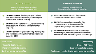 Figure 1. Refer to the following caption and surrounding text.