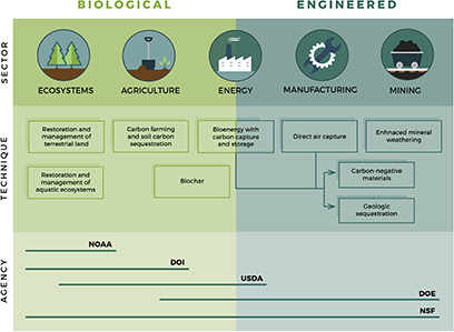 Figure 2. Refer to the following caption and surrounding text.