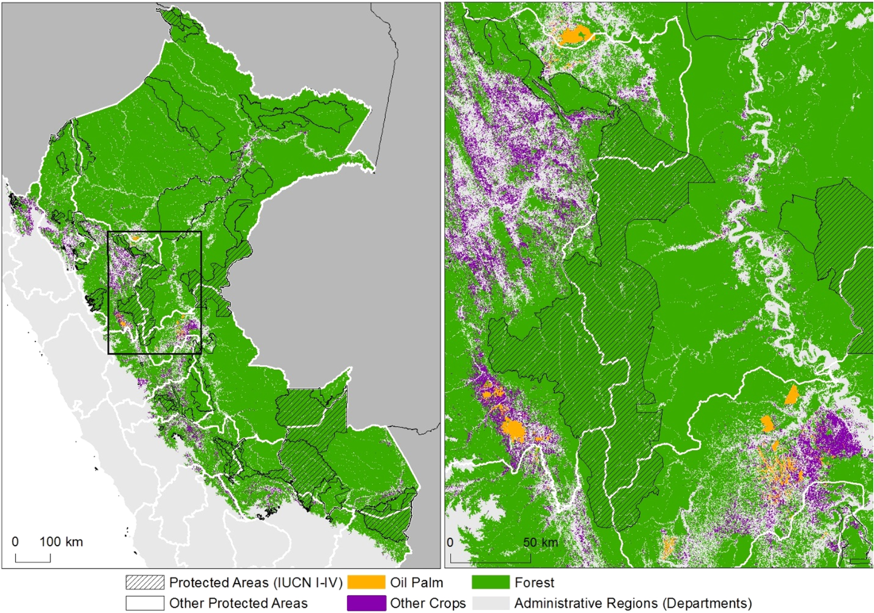 Deforestation risks posed by oil palm expansion in the Peruvian Amazon ...
