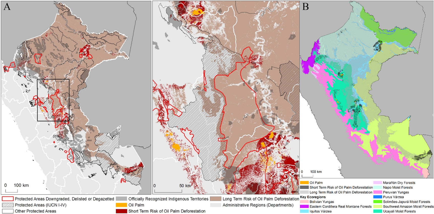 Deforestation risks posed by oil palm expansion in the Peruvian Amazon ...