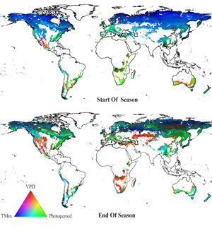 Figure 3. Refer to the following caption and surrounding text.
