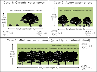 Figure 6. Refer to the following caption and surrounding text.