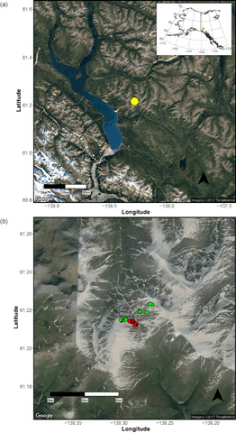 Figure 1. Refer to the following caption and surrounding text.