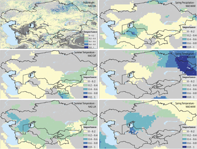 Figure 6. Refer to the following caption and surrounding text.