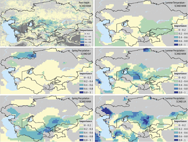 Figure 7. Refer to the following caption and surrounding text.