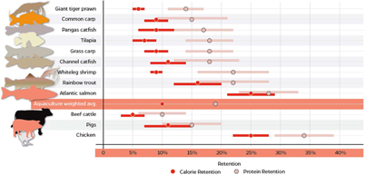 Figure 2. Refer to the following caption and surrounding text.