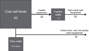 Figure 1. Refer to the following caption and surrounding text.