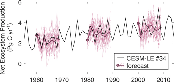 Figure 1. Refer to the following caption and surrounding text.
