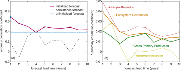 Figure 2. Refer to the following caption and surrounding text.