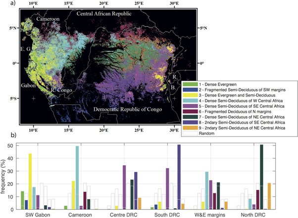 The light-deficient climates of western Central African evergreen ...