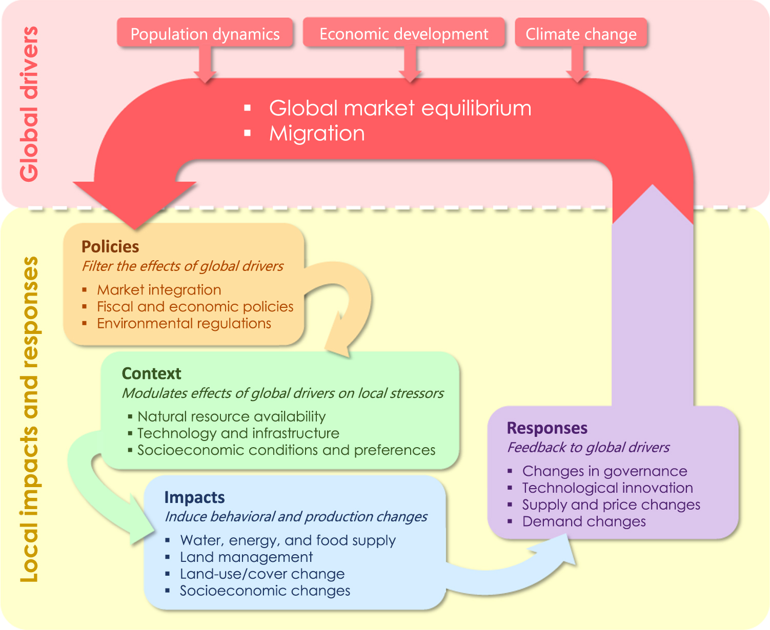 A review of global-local-global linkages in economic land-use/cover ...