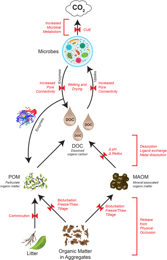 Figure 1. Refer to the following caption and surrounding text.