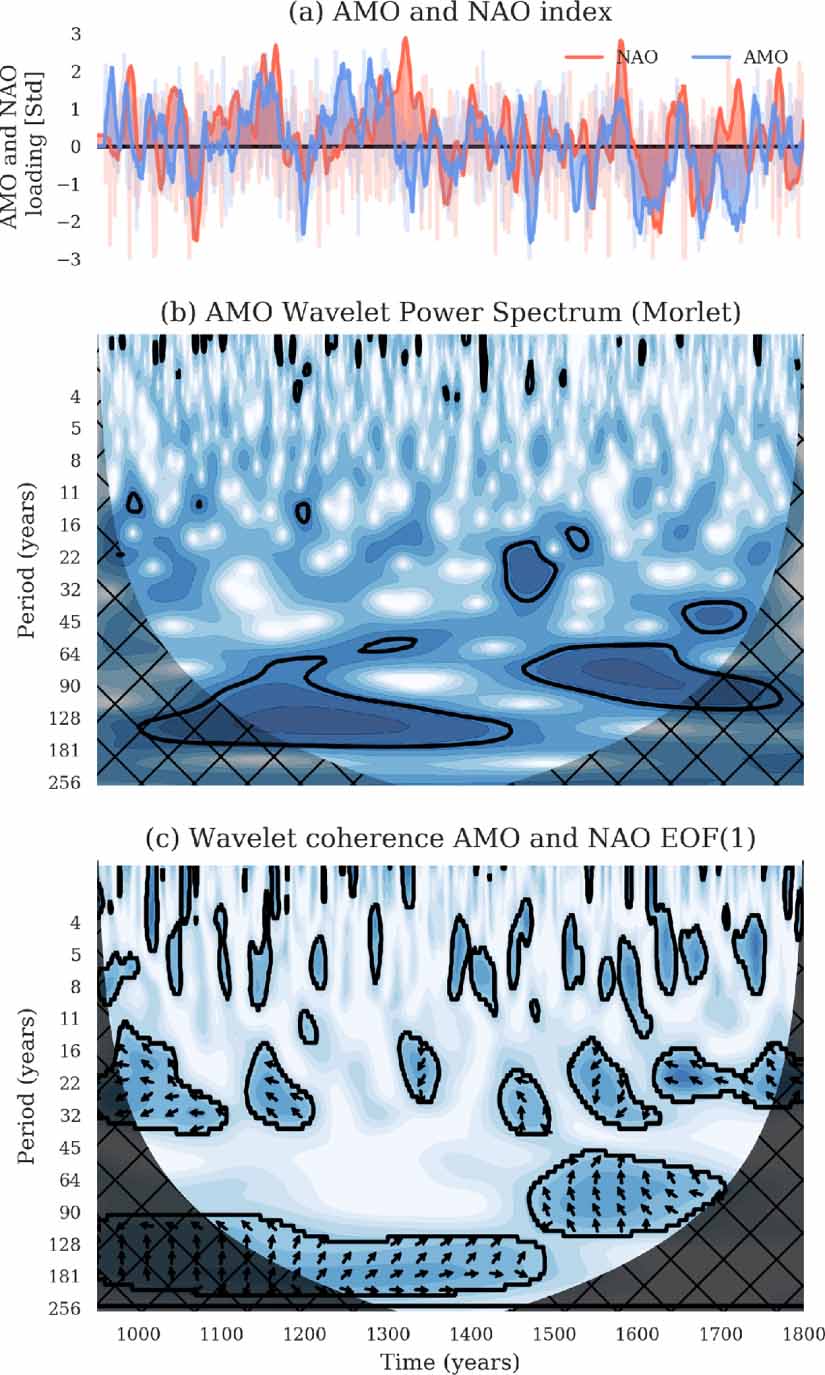 The Atlantic Multidecadal Oscillation controls the impact of the North ...