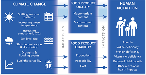 Figure 1. Refer to the following caption and surrounding text.