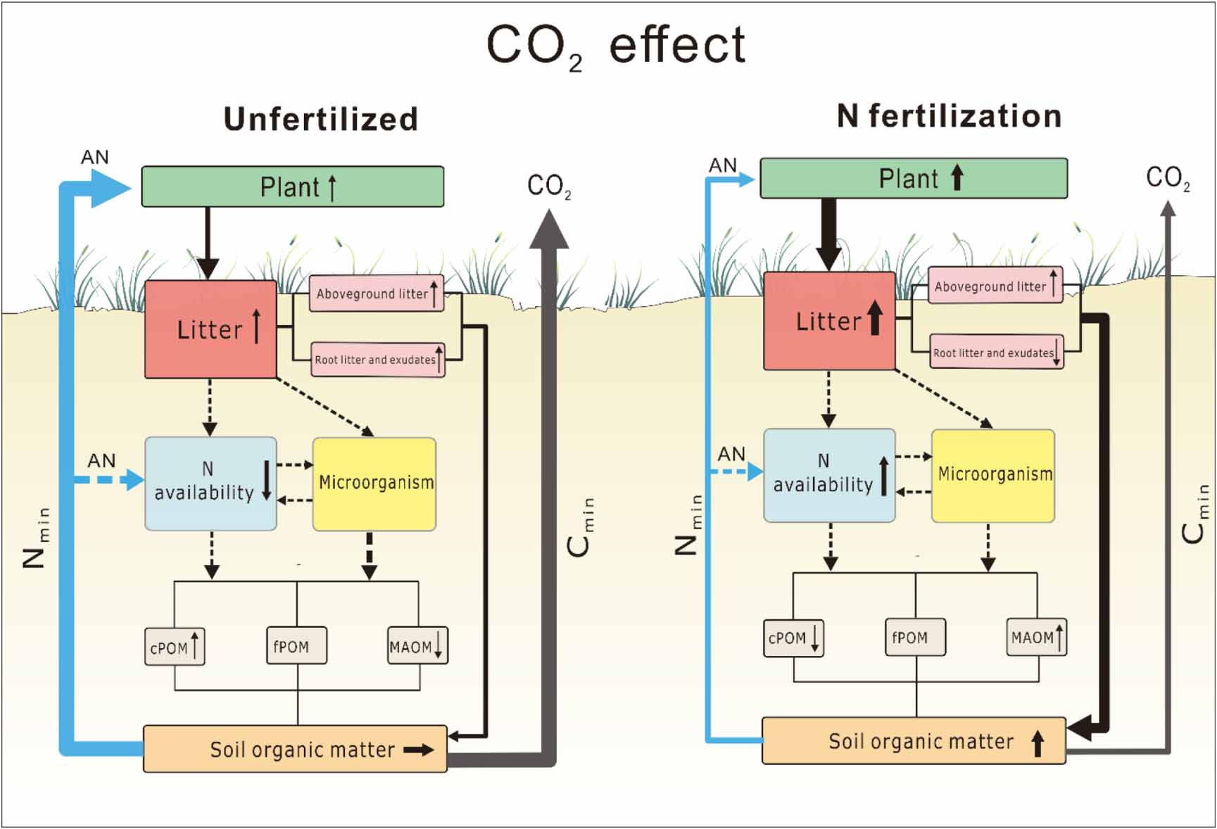 Elevated CO2 decreases soil carbon stability in Tibetan Plateau ...