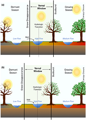Figure 1. Refer to the following caption and surrounding text.