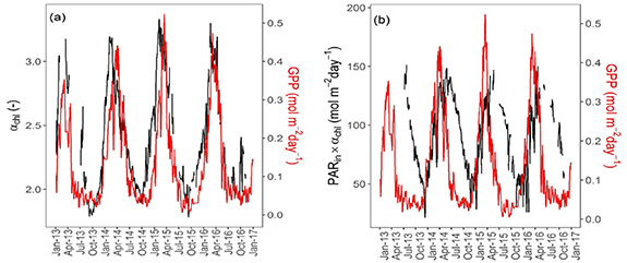 Ecophysiological adjustments of a pine forest to enhance early spring ...