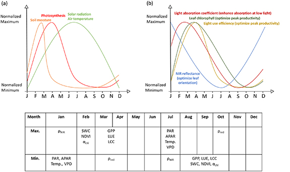 Ecophysiological adjustments of a pine forest to enhance early spring ...