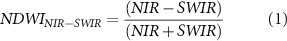 Equation (1)