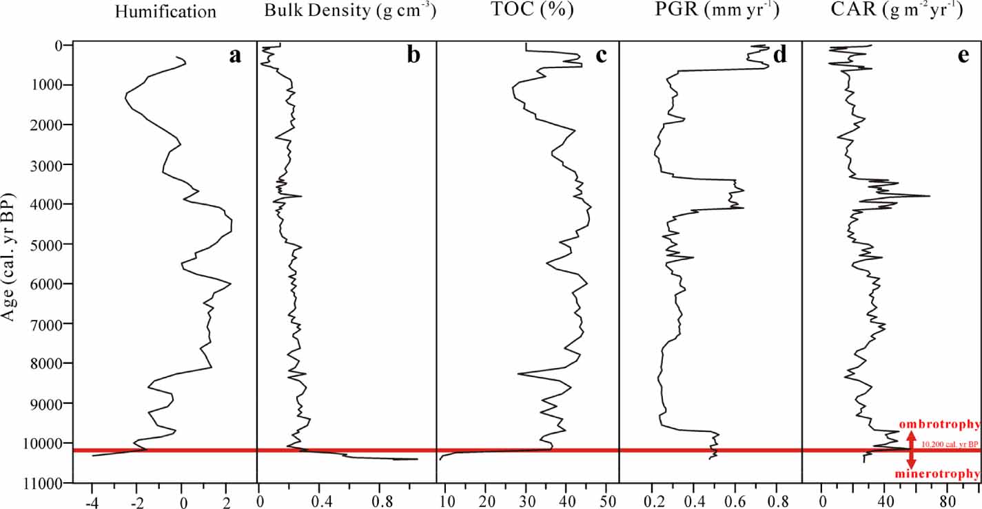 Holocene peat humification and carbon dynamics in the Westerlies ...