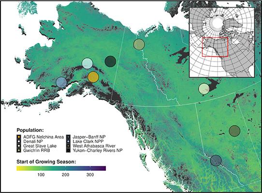Figure 1. Refer to the following caption and surrounding text.