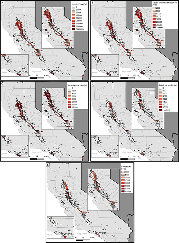 Figure 1. Refer to the following caption and surrounding text.