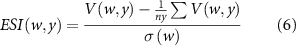 Equation (6)
