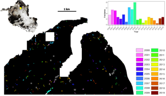 Mapping pervasive selective logging in the south-west Brazilian Amazon ...