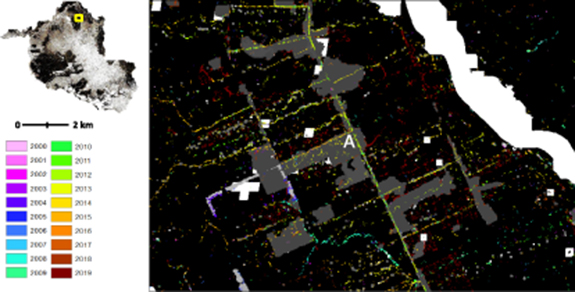 Mapping pervasive selective logging in the south-west Brazilian Amazon ...
