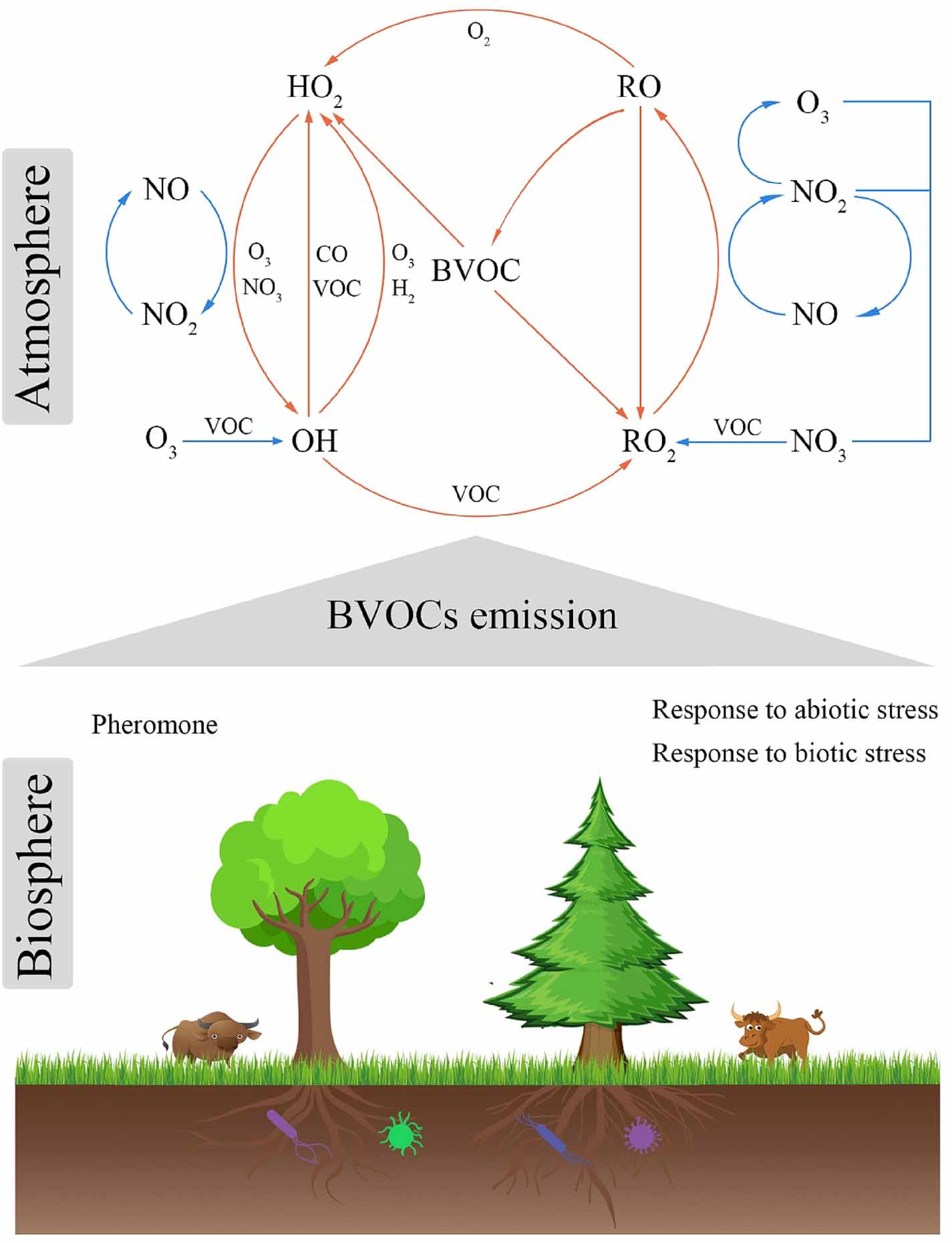 A review of research hotspots and trends in biogenic volatile organic ...