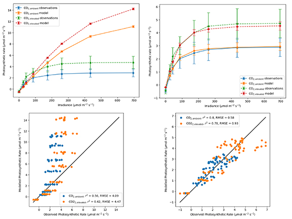 Figure 5. Refer to the following caption and surrounding text.