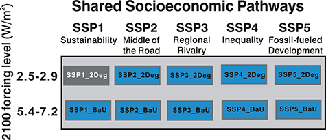 Figure 1. Refer to the following caption and surrounding text.