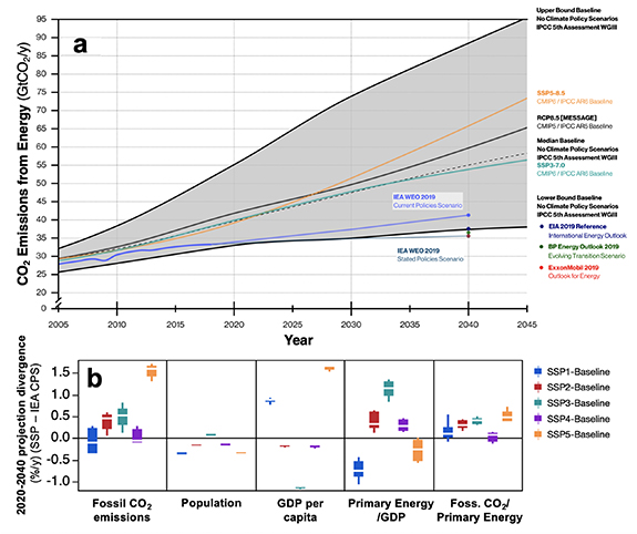 Figure 1. Refer to the following caption and surrounding text.