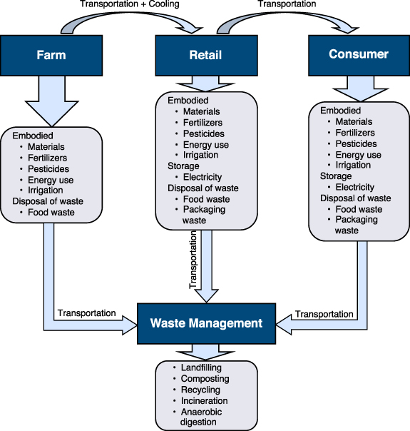 Figure 1. Refer to the following caption and surrounding text.