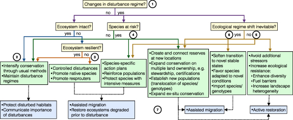 Figure 1. Refer to the following caption and surrounding text.