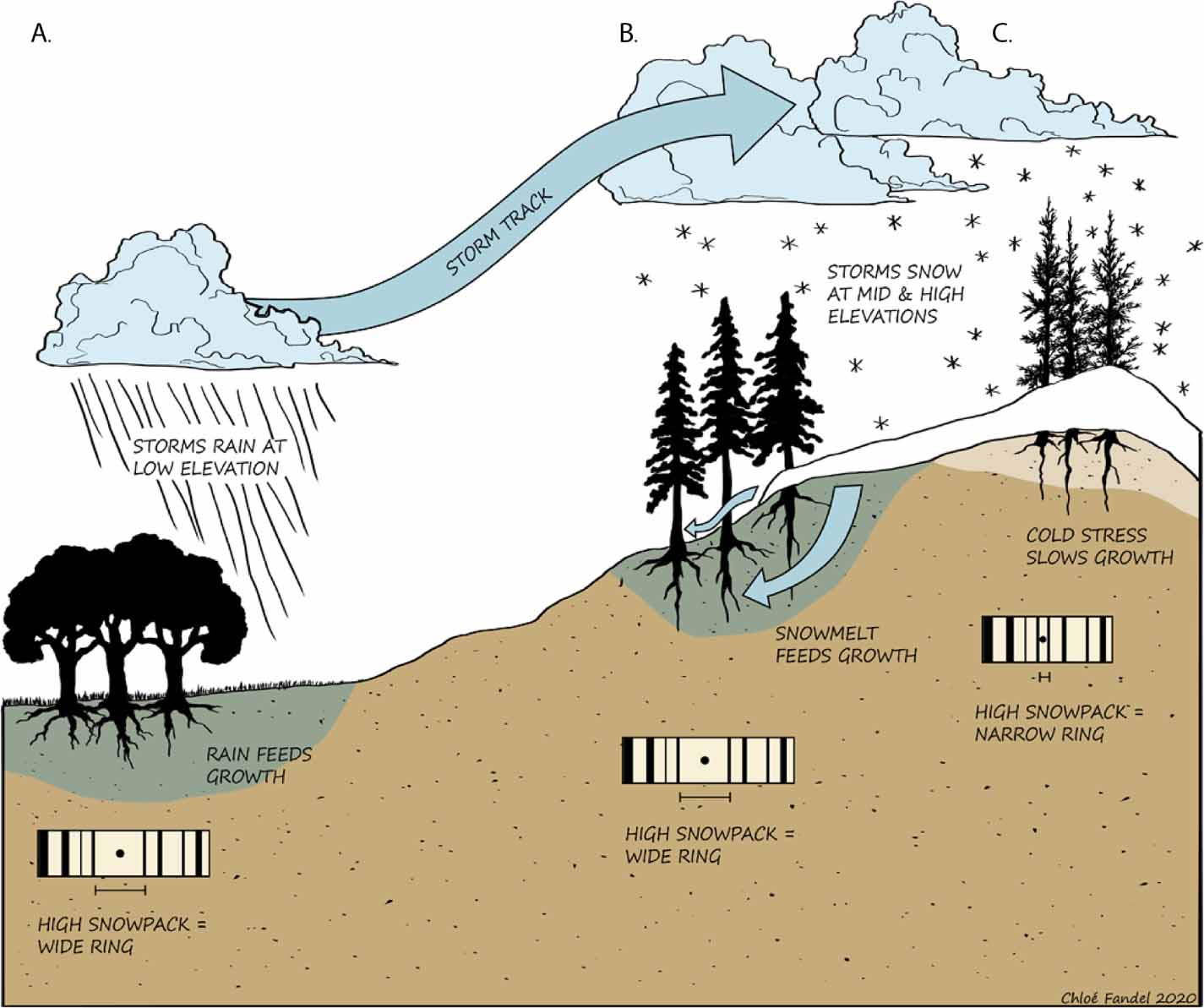 Snowpack signals in North American tree rings IOPscience