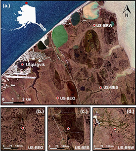 Figure 1. Refer to the following caption and surrounding text.