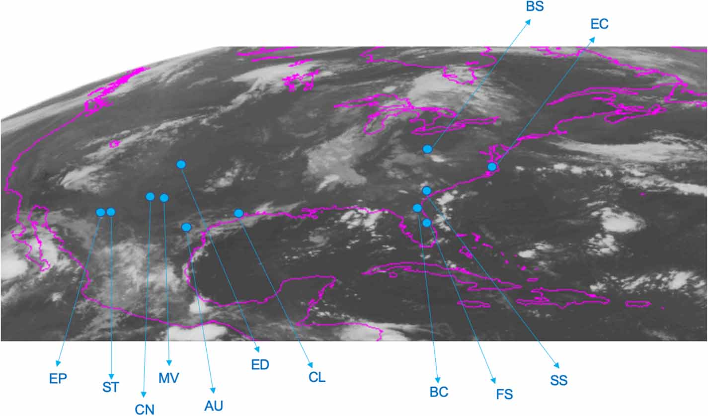Shortterm solar irradiance forecasting using convolutional neural