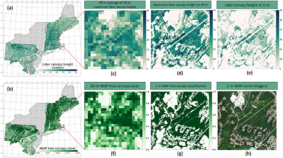 Figure 1. Refer to the following caption and surrounding text.