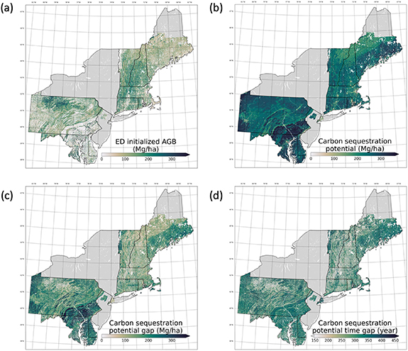 Figure 2. Refer to the following caption and surrounding text.