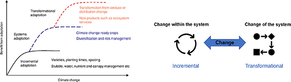 Figure 4. Refer to the following caption and surrounding text.