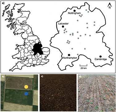 Figure 1. Refer to the following caption and surrounding text.