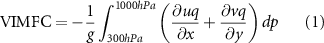 Equation (1)