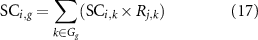 Equation (17)