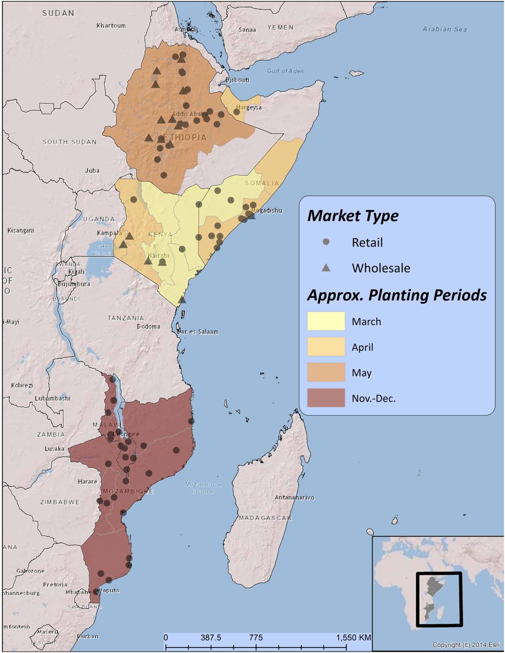 Sending out an SOS using start of rainy season indicators for market