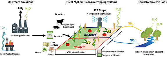 Figure 1. Refer to the following caption and surrounding text.