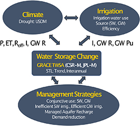 Figure 1. Refer to the following caption and surrounding text.