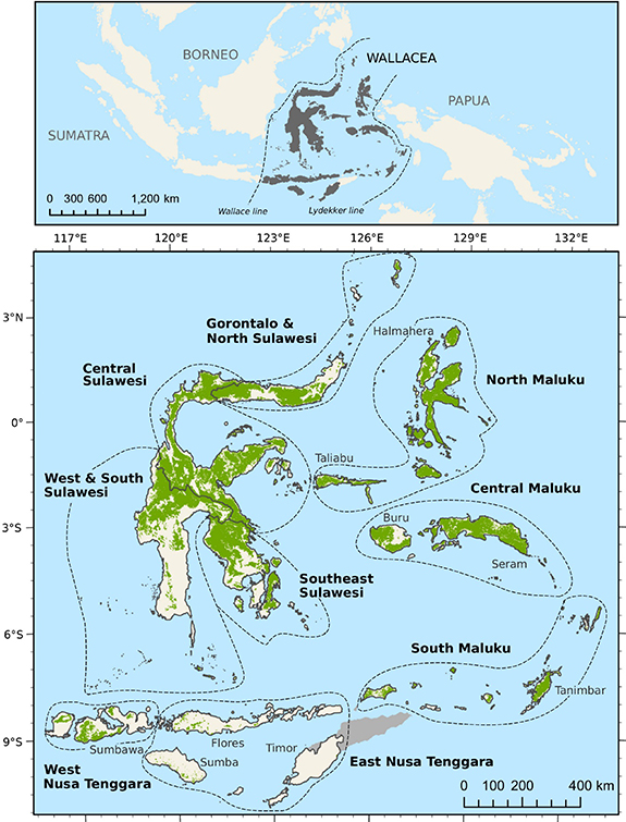 Figure 1. Refer to the following caption and surrounding text.