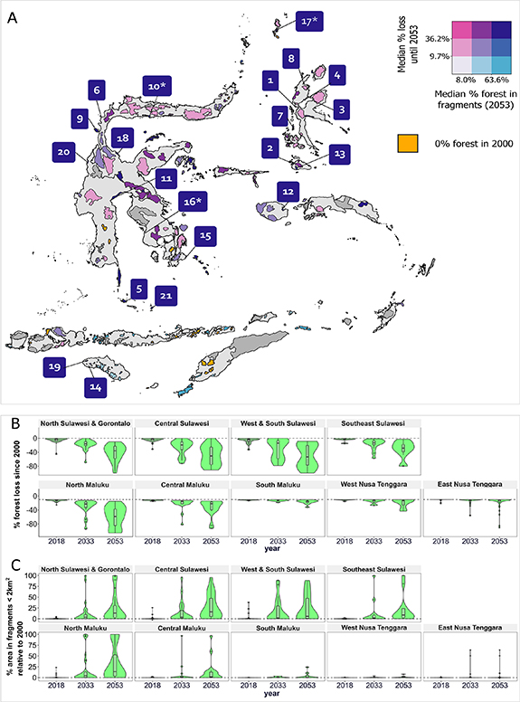 Figure 5. Refer to the following caption and surrounding text.